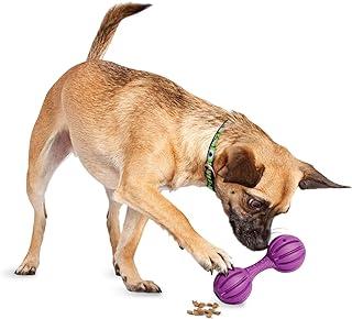 PetSafe Busy Buddy Waggle Treat Dispensing Dog To Play Small, Medium/Large