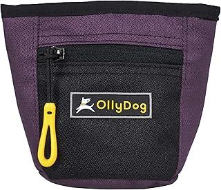 OllyDog Dog Treat Bag with Belt Clip, Dahlia